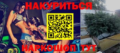 прущие грибы Краснодар