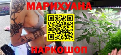 прущие грибы Краснодар