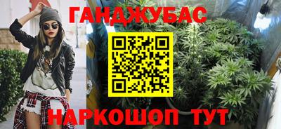 прущие грибы Краснодар