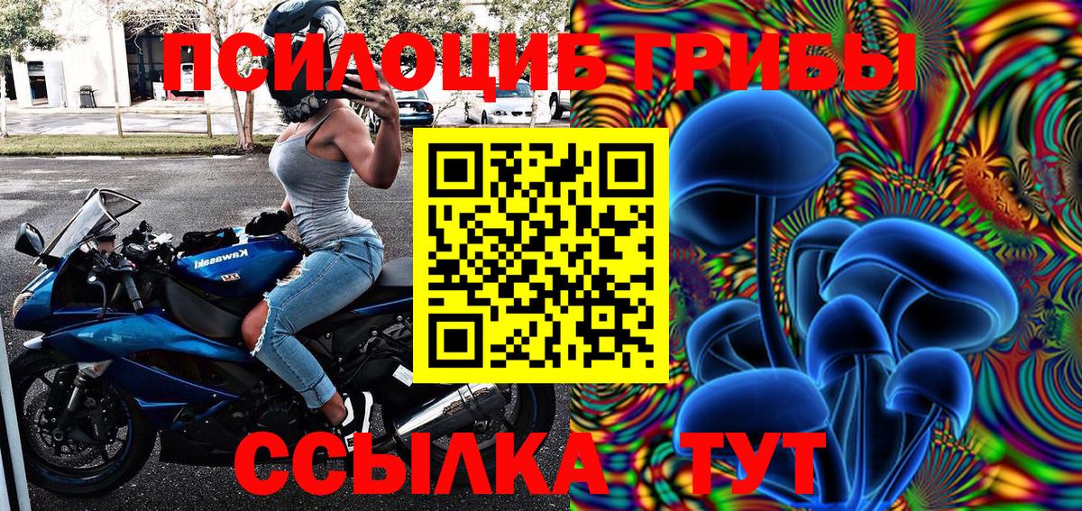 Псилоцибиновые грибы Cubensis  Вход с VPN  купить наркотики цена  Гусев 